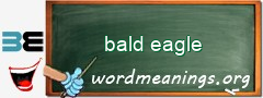 WordMeaning blackboard for bald eagle